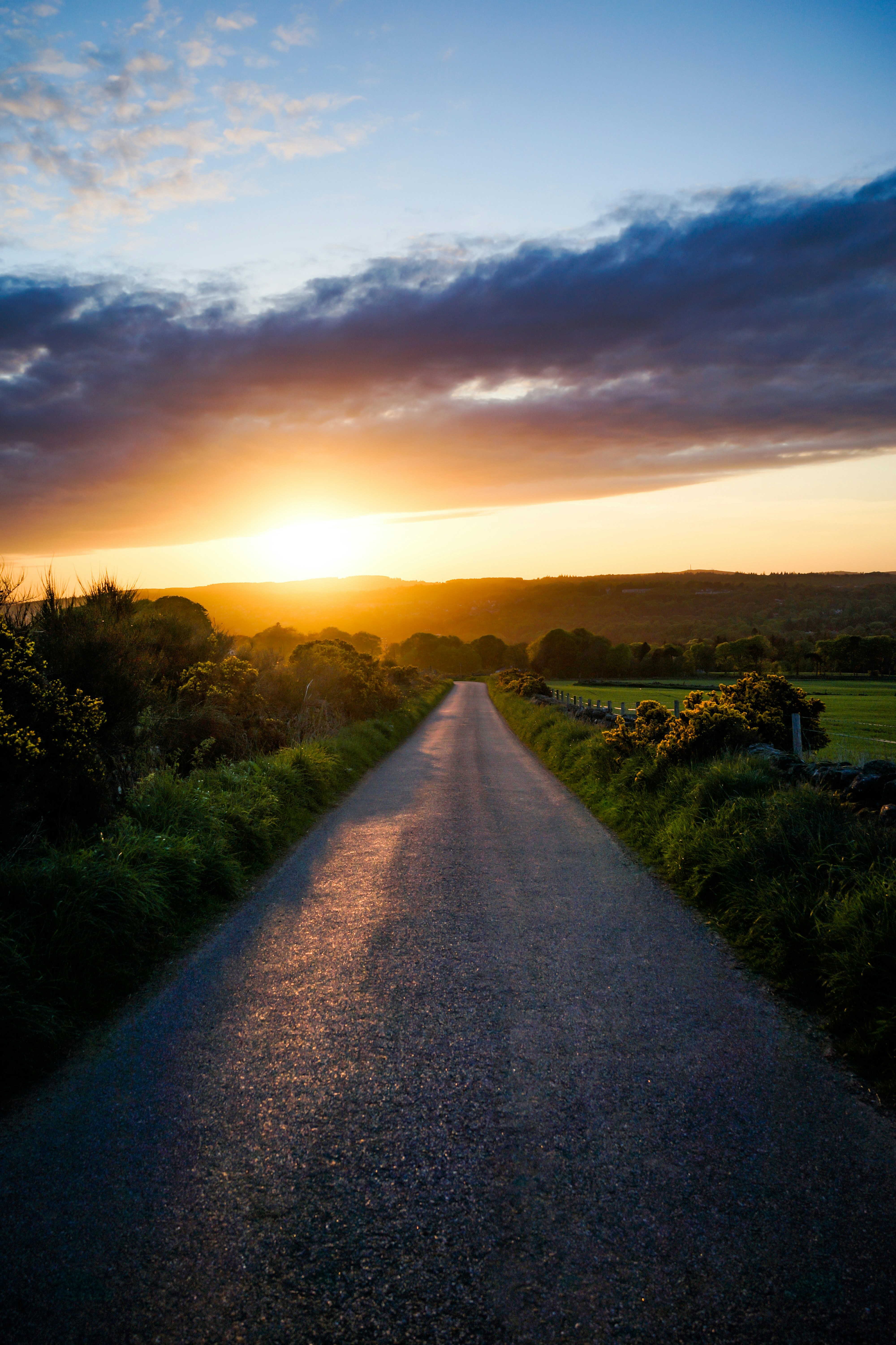 Scenic road trip route with beautiful landscape and open road